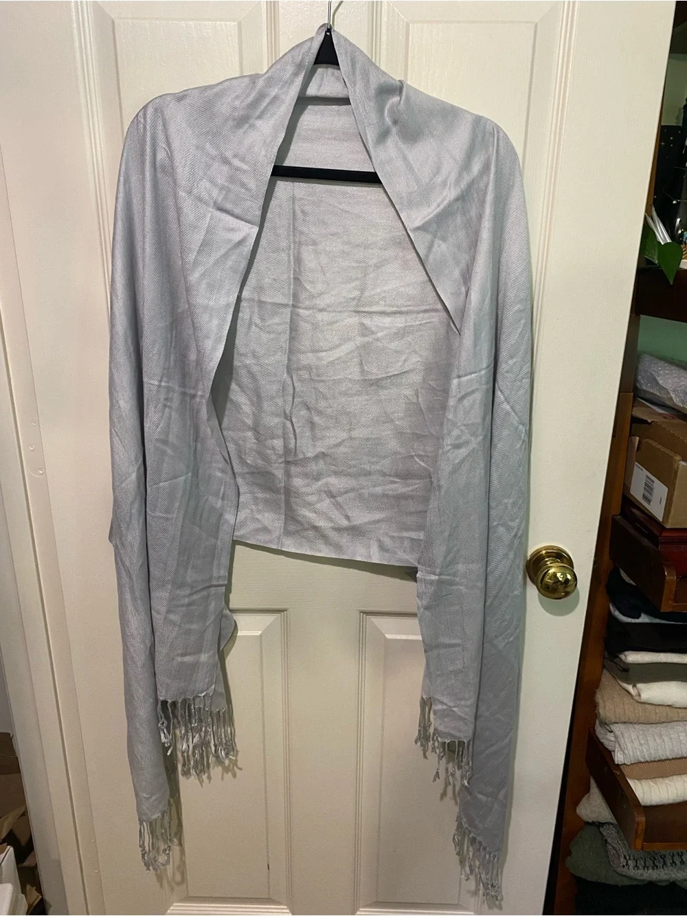 Light Gray/ Silver Pashmina Shawl